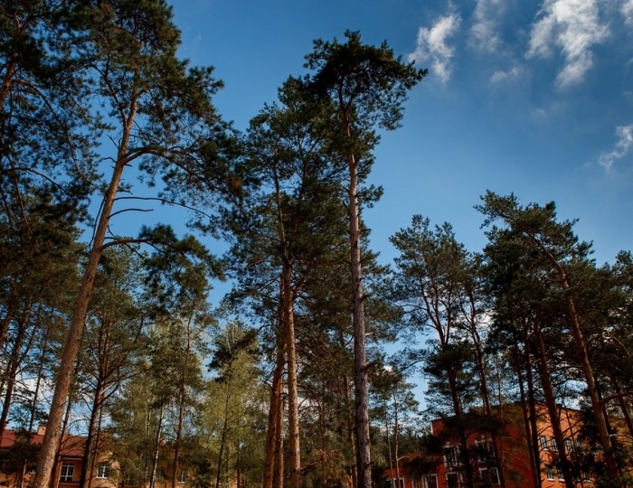 Санаторий «Затишье» Клинцы